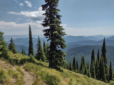 Admiring the view, the Selkirks Mountains stretch far into the distance.  Seen looking east from high on Shedroof Divide Trail, between Mankato Mountain and Helmer Mountain.