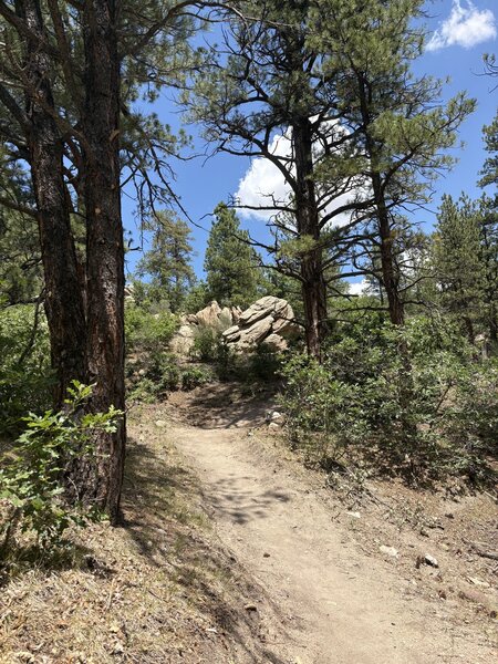 Neat rocks everywhere