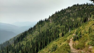 Travelling south on Shedroof Divide Trail, through the grasses and low vegetation, a nearby summit is ahead. Selkirk Mountains (left) stretch into the distance on this hazy morning.