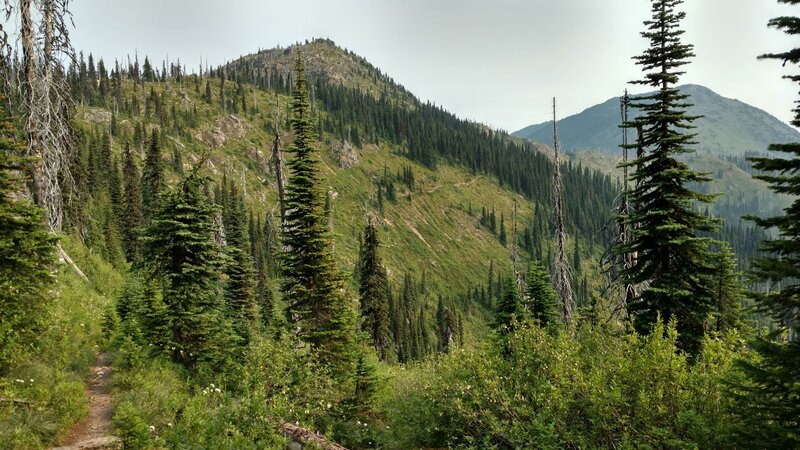 Nearby Little Snowy Top, 6,824 ft. (center left), and farther away Snowy Top, 7,376 ft. (right). Looking north on Shedroof Divide Trail.