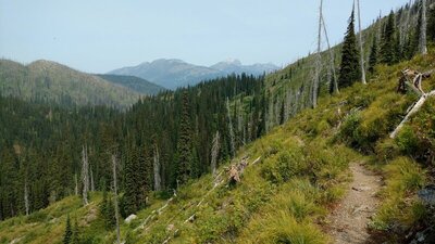 A few unamed, photogenic, barren summits on the west side of the Shedroof Divide are seen when looking west, over a low spot on the divide, from high on the east side.