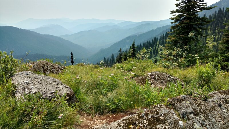 The view to the south-southeast. Selkirk Mountains go on forevever on a hazy July day.  Seen from a grassy, rocky spot, high on the Shedroof Divide.