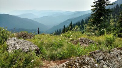 The view to the south-southeast. Selkirk Mountains go on forevever on a hazy July day.  Seen from a grassy, rocky spot, high on the Shedroof Divide.