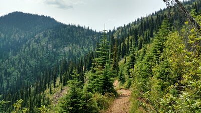 Approaching Shedroof Mountain (left), from the north. The trail goes through the low (center) on the ridge ahead.