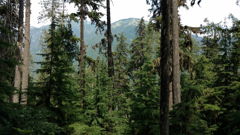 Views of the mountains on the farside of the South Salmo River.