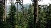 Views of the mountains on the farside of the South Salmo River.