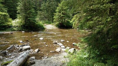 South Salmo River crossing in mid July.