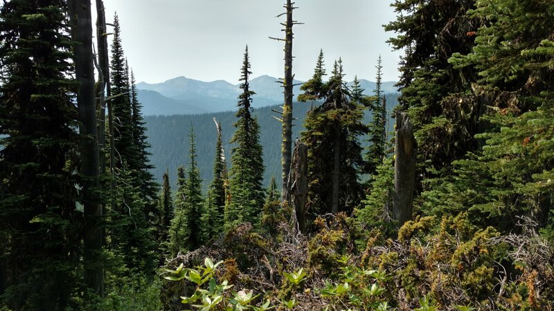 Selkirk Mountains to the southwest (in Washington), are seen through a break in the trees, high on the Salmo Divide Trail.