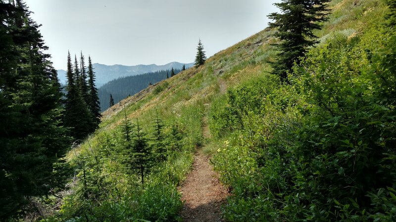 Pretty high meadows along Salmo Divide Trail, with views to the west of Selkirk Mountains in Washington