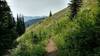 Pretty high meadows along Salmo Divide Trail, with views to the west of Selkirk Mountains in Washington