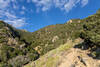 Up the canyon towards Olancha Pass.