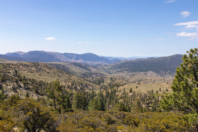The valley featuring Summit Creek