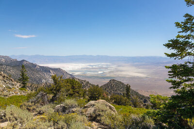 The last glimpse of the desert floor