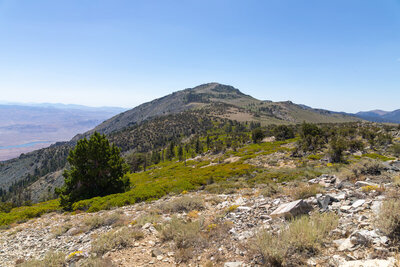 Round Mountain