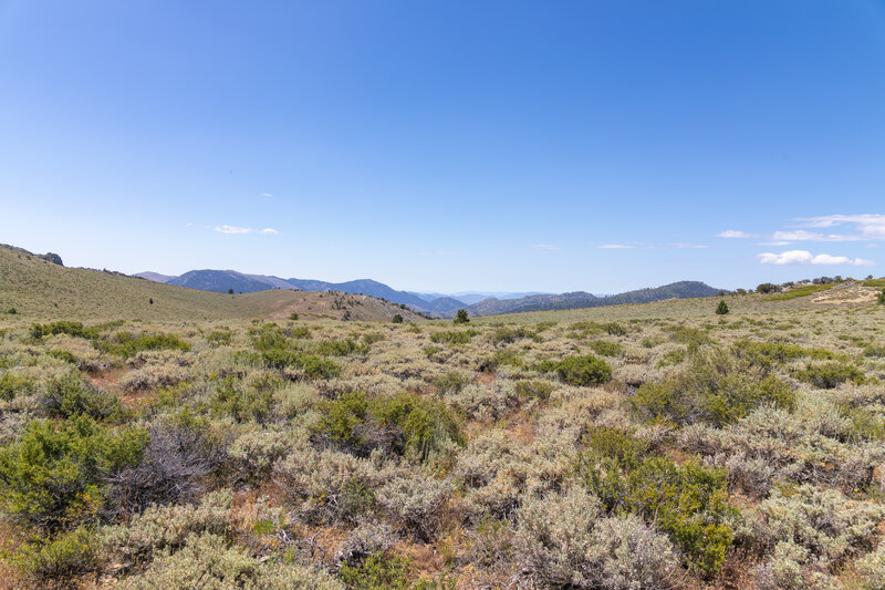 The vast sagebrush valley.