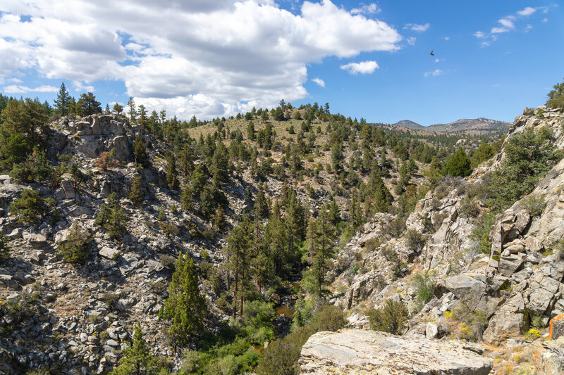 The canyon carved by the South Fork Kern River.