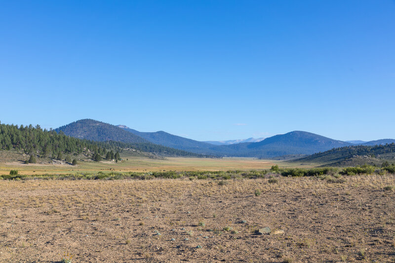 Beck Meadow