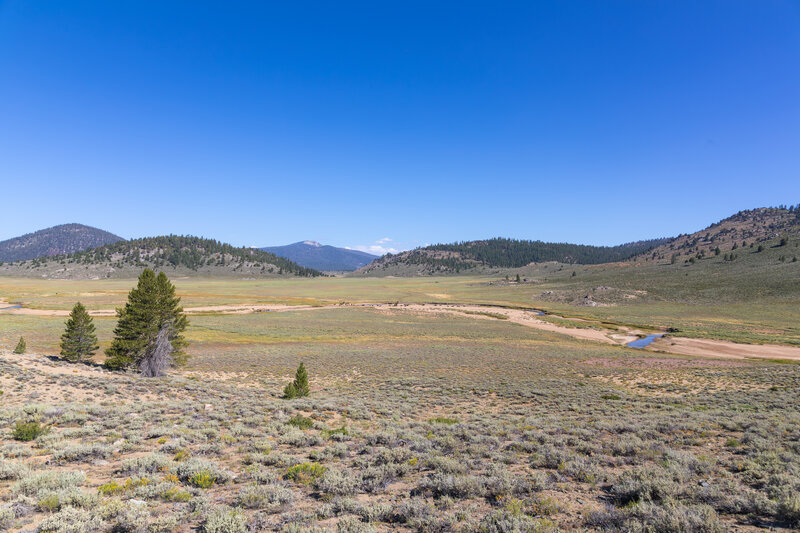 Monache Meadow and the South Fork Kern River.