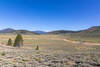 Monache Meadow and the South Fork Kern River