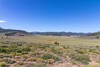 Vast Monache Meadow