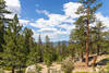 Upper Cow Canyon views.