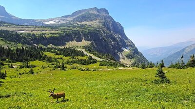 Highline Trail