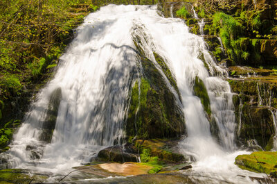 Roaring Run Falls - April 27, 2014