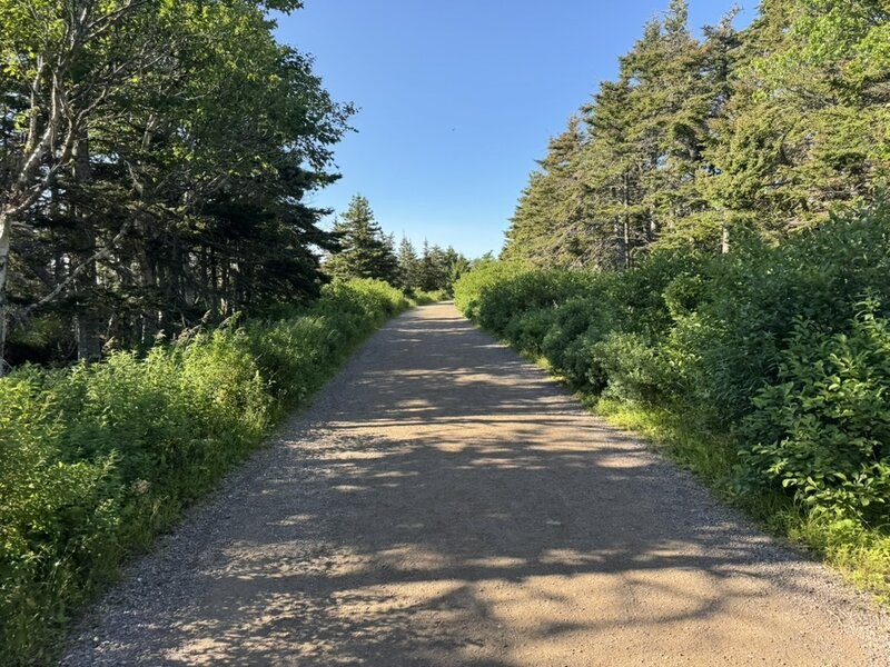 First portion leading to trailhead.