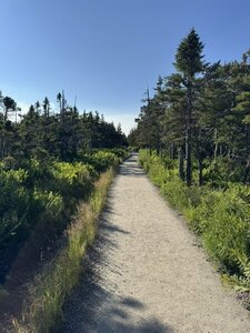 Beginning of Skyline Trail