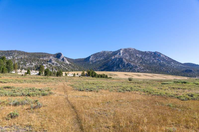 Looking back at Trail Peak from Mulkey Meadows.