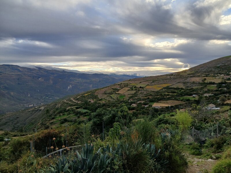 View of the hillside community of Jocos.