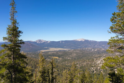 Templeton Meadows with Kern Peak in the distance.