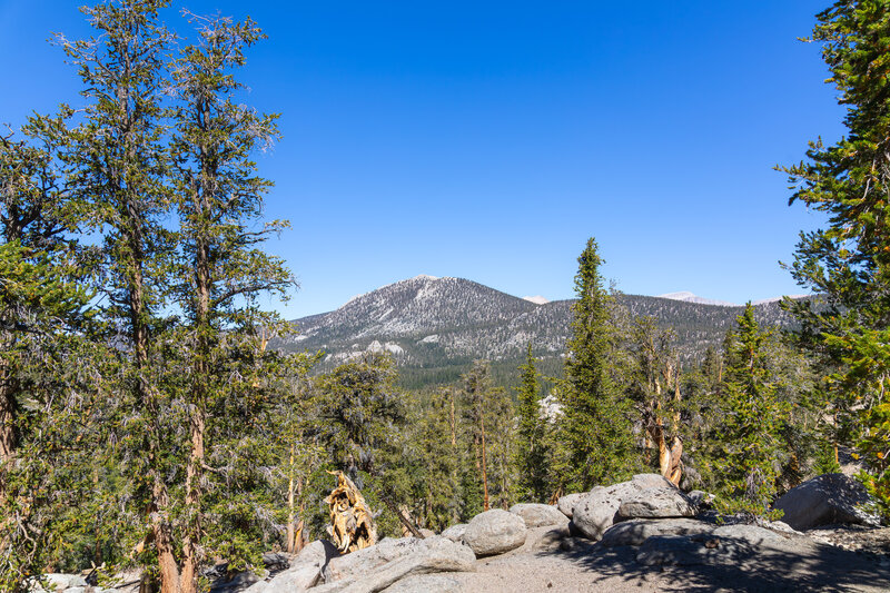 Trail Peak from the ascent towards Diaz Creek.