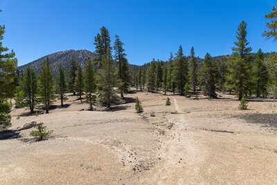 The saddle west of Diaz Creek with Muah Mountain in the distance.