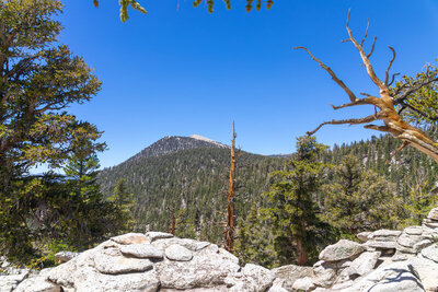 Looking at Trail Peak, halfway to Mulkey Pass.