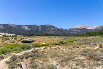 Horseshoe Meadow with Cirque Peak in the distance.