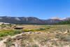 Horseshoe Meadow with Cirque Peak in the distance