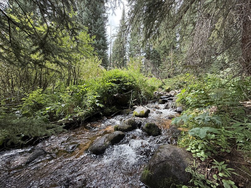 Waterfall along the early part of the hike.