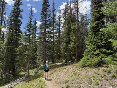 Although there were visible effects of bettle kill, the trail was still very scenic.
