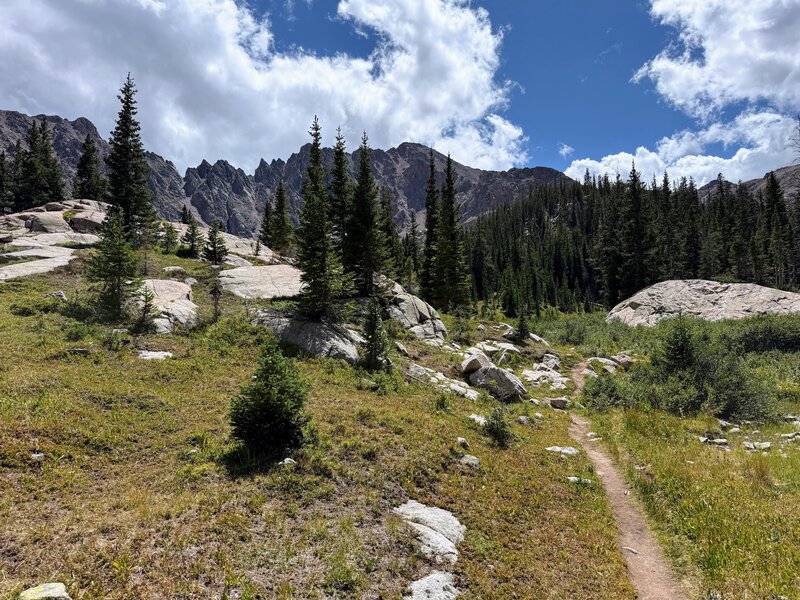 The trail was surprisingly lush even as we approached 11,000 feet elevation.