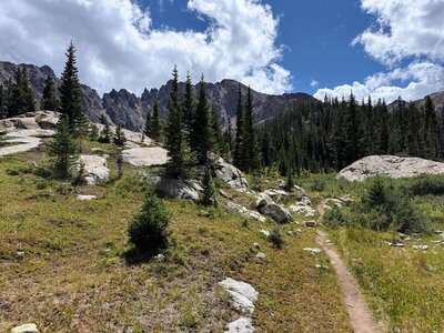 The trail was surprisingly lush even as we approached 11,000 feet elevation.