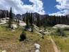 The trail was surprisingly lush even as we approached 11,000 feet elevation.