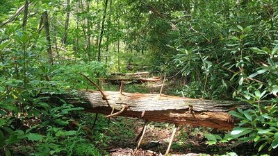 What to expect at the bottom of Deep Gap.