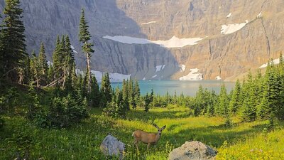 Iceberg Lake