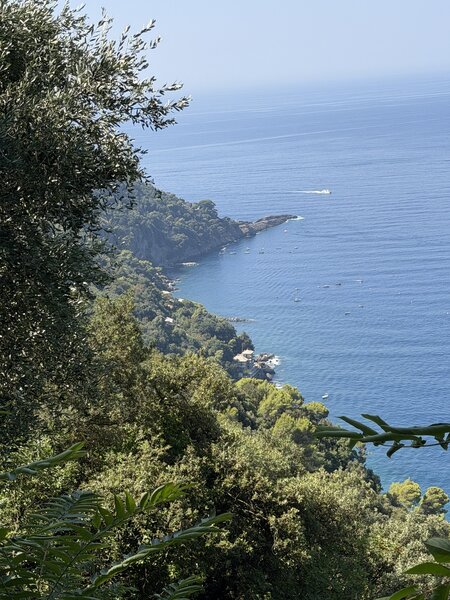 Punta Chiappa down below.