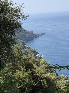 Punta Chiappa down below.
