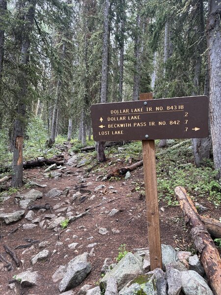 Intersection of Dollar Lake and Three Lakes Trail.