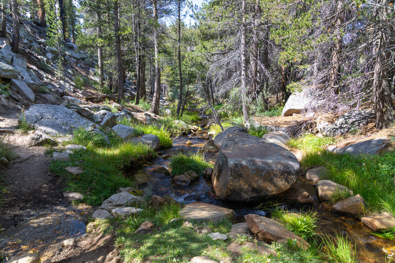 The South Fork Kern River, a docile creek near its headwaters below Trail Peak.