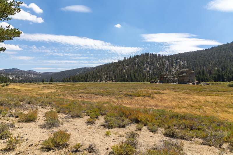 Tunnel Meadow near the junction with Tunnel Cutoff Trail.