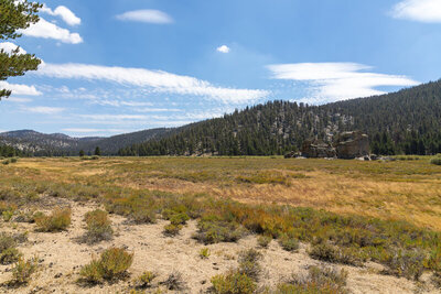Tunnel Meadow near the junction with Tunnel Cutoff Trail.
